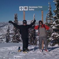 Stephen Sheffield Photo 11