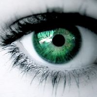 Julia Lane Photo 21 Julia Lane Photo 21