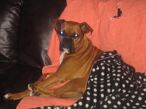 Molly Bonner Photo 5