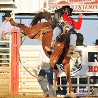 Adam Tanner Photo 39