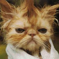 Nancy Bernhardt Photo 29