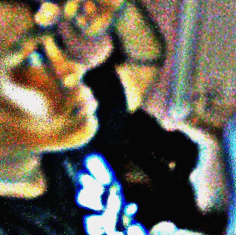 Stephen Durant Photo 28