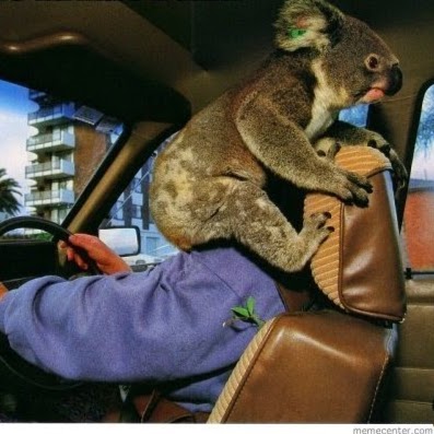 Jacob Harman Photo 30