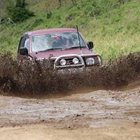 Darryl Wilkinson Photo 9