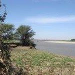 Mustafa Sharif Photo 10