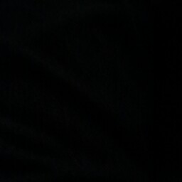 David Schuler Photo 19