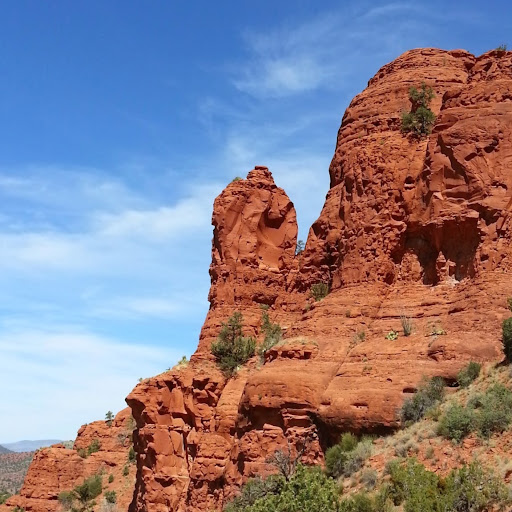 Thomas Clay Photo 35 Thomas Clay Photo 35