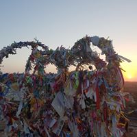 Steve Walters Photo 28 Steve Walters Photo 28