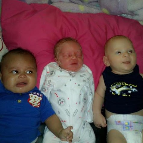 Tracy Wood Photo 45 Tracy Wood Photo 45