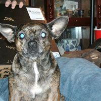 Christina Hardin Photo 7