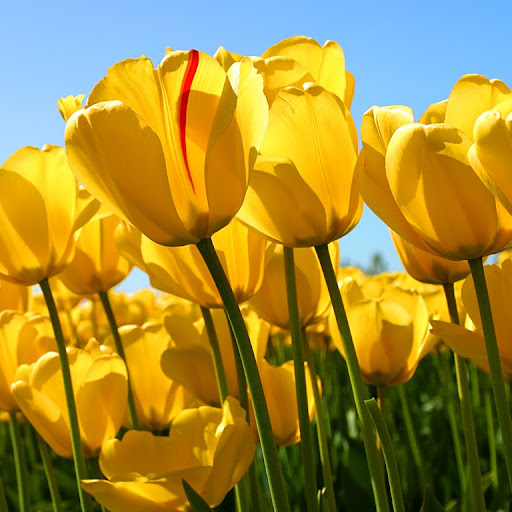 Georgia Rodriguez Photo 11