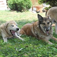 Kurt Walters Photo 18 Kurt Walters Photo 18