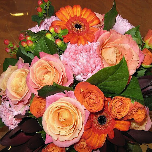 Jeanette Watson Photo 31