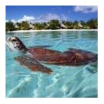 Cynthia Mcconnell Photo 1