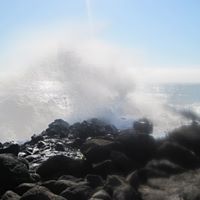 Vicki Sommer Photo 15