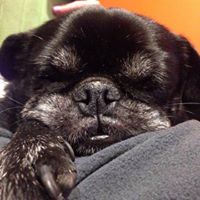 Michelle Alger Photo 31