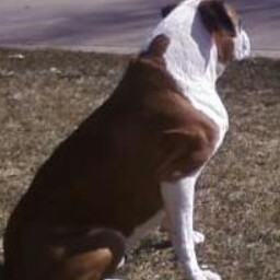 Robin Briggs Photo 27