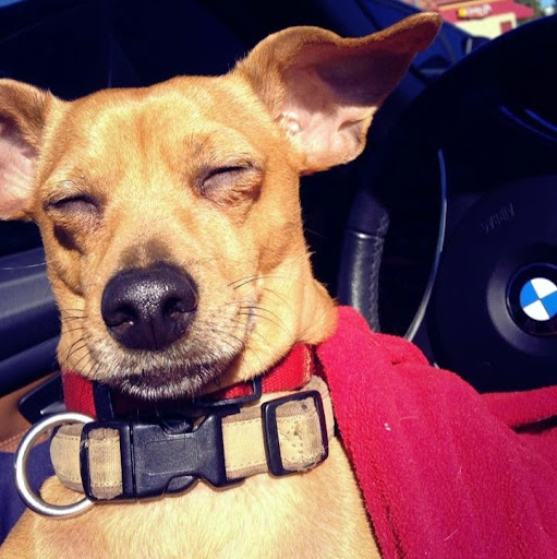 Emily Sanchez Photo 20