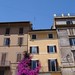Donald Piazza Photo 20