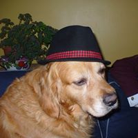 Julia Holmes Photo 16