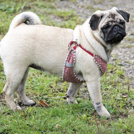 Aimee Sullivan Photo 15