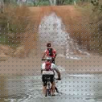 Brian Forester Photo 21