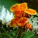 Thomas Canna Photo 4