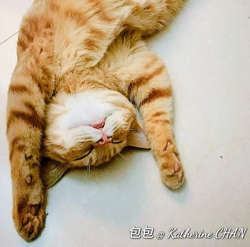 Katherine Chan Photo 21