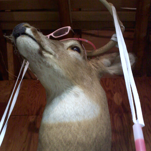 Megan Mccarthy Photo 45