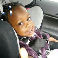 Francis Steed Photo 11