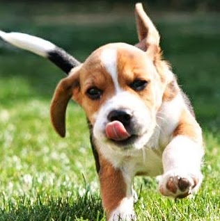 Elizabeth Paris Photo 14