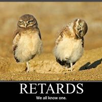 Matthew Cornelius Photo 35