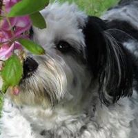 Bobbie Wagner Photo 19
