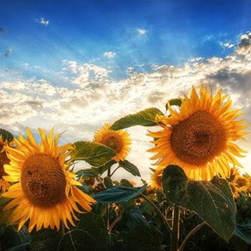 Regina Evans Photo 38