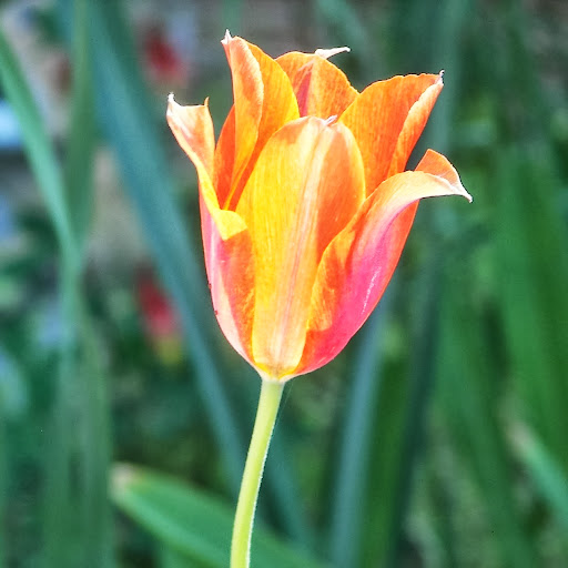 Sara Bowman Photo 19