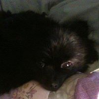 Deborah Lyons Photo 7