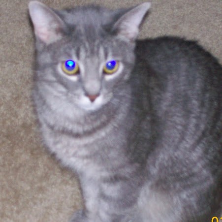 Kimberly Suarez Photo 16