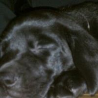 Theodore Weber Photo 11