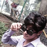 Ankit Narula Photo 18