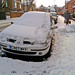 Jan Snow Photo 9