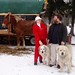 Carolyn Holland Photo 10
