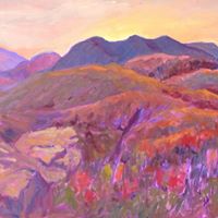 Steven Prewitt Photo 16