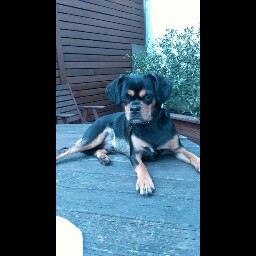 Kathryn Sutherland Photo 21 Kathryn Sutherland Photo 21