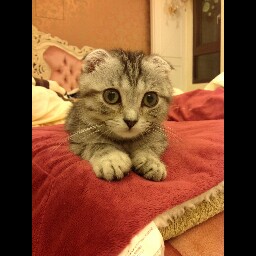 Richard Chen Photo 15