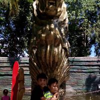 Dan Pasco Photo 13