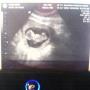 Debra Layne Photo 12