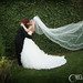 Beverly Sullivan Photo 16