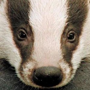 Randy Badger Photo 7