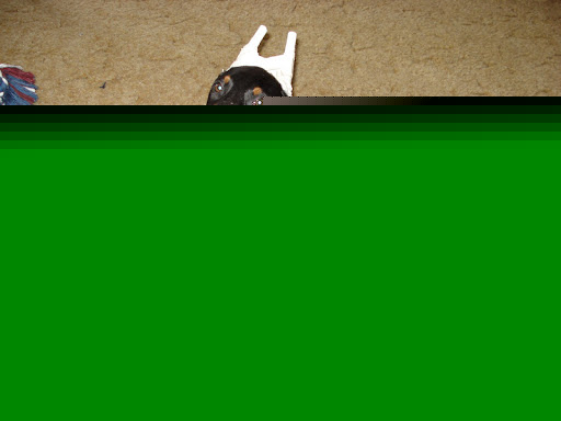 Cindy Mason Photo 15