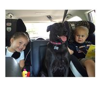 Laurie Burch Photo 9